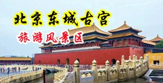 免插件母乳电影中国北京-东城古宫旅游风景区